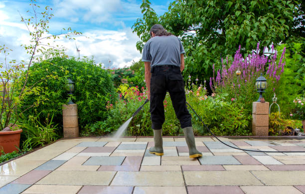 Best Driveway Pressure Washing  in Ridgefield Park, NJ